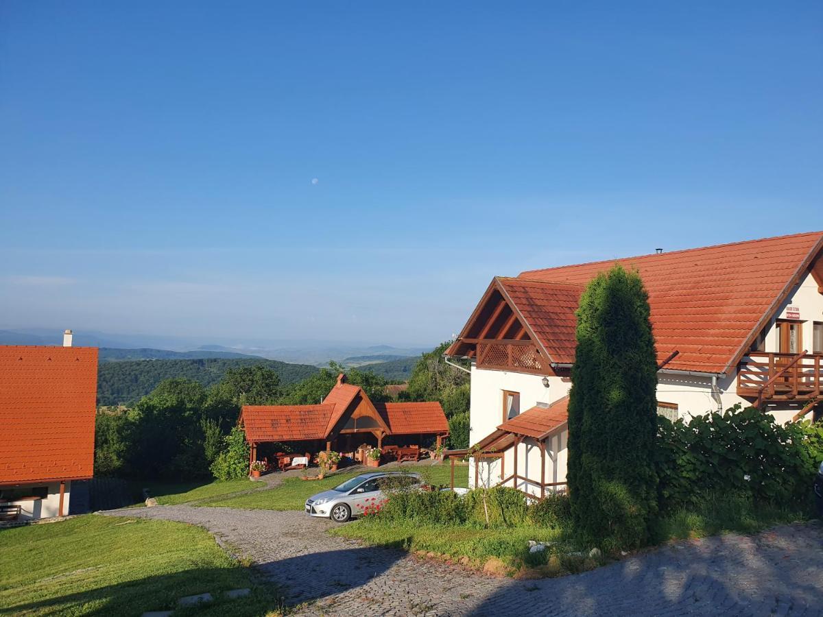 Pensiunea Szilas Panzió Pauleni Bagian luar foto