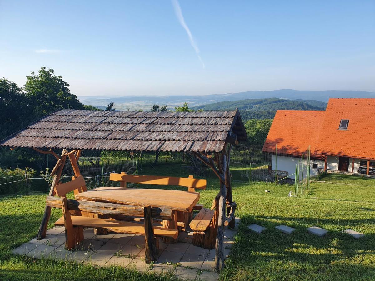 Pensiunea Szilas Panzió Pauleni Bagian luar foto